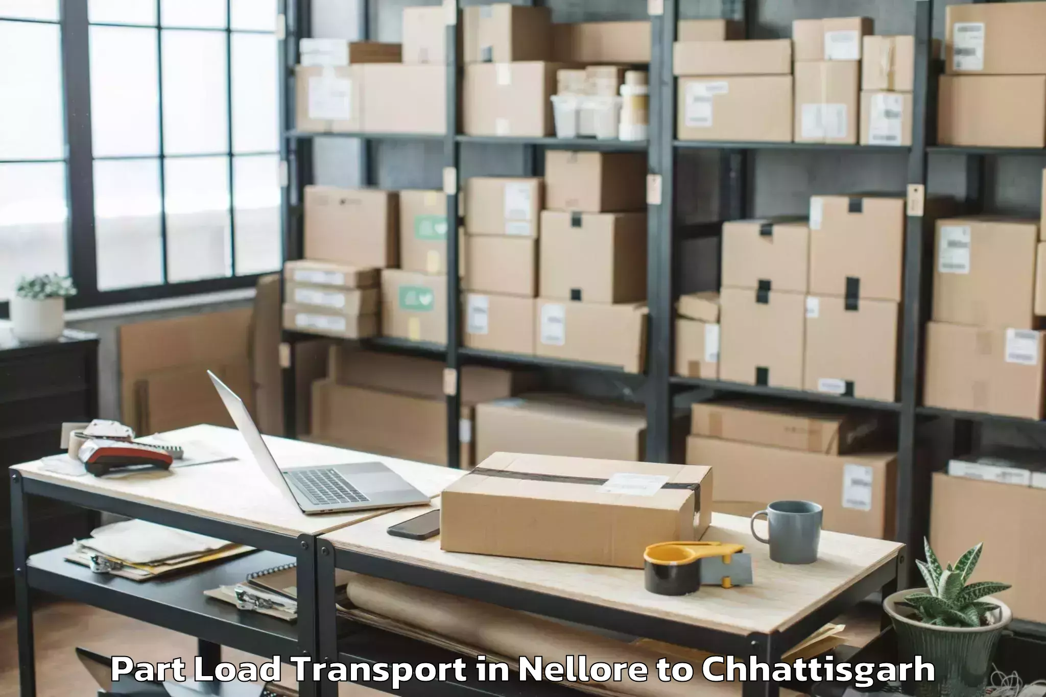 Hassle-Free Nellore to Khairagarh Part Load Transport